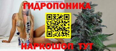 mix Будённовск
